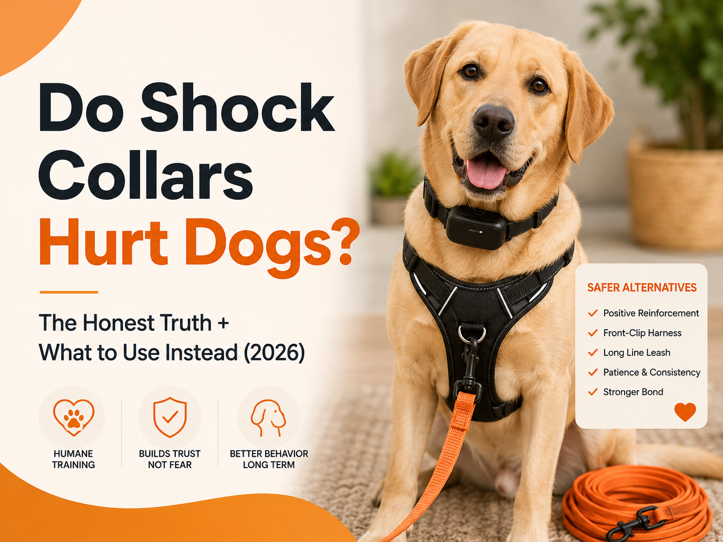 Do Shock Collars Hurt Dogs? The Honest Truth + What to Use Instead (2026)