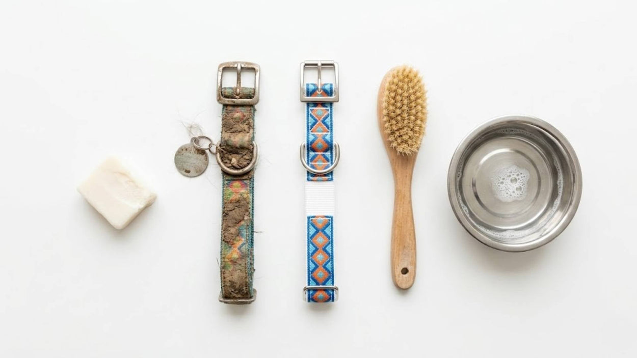 How to Clean a Dog Collar: Easy Step-by-Step Guide (2026)