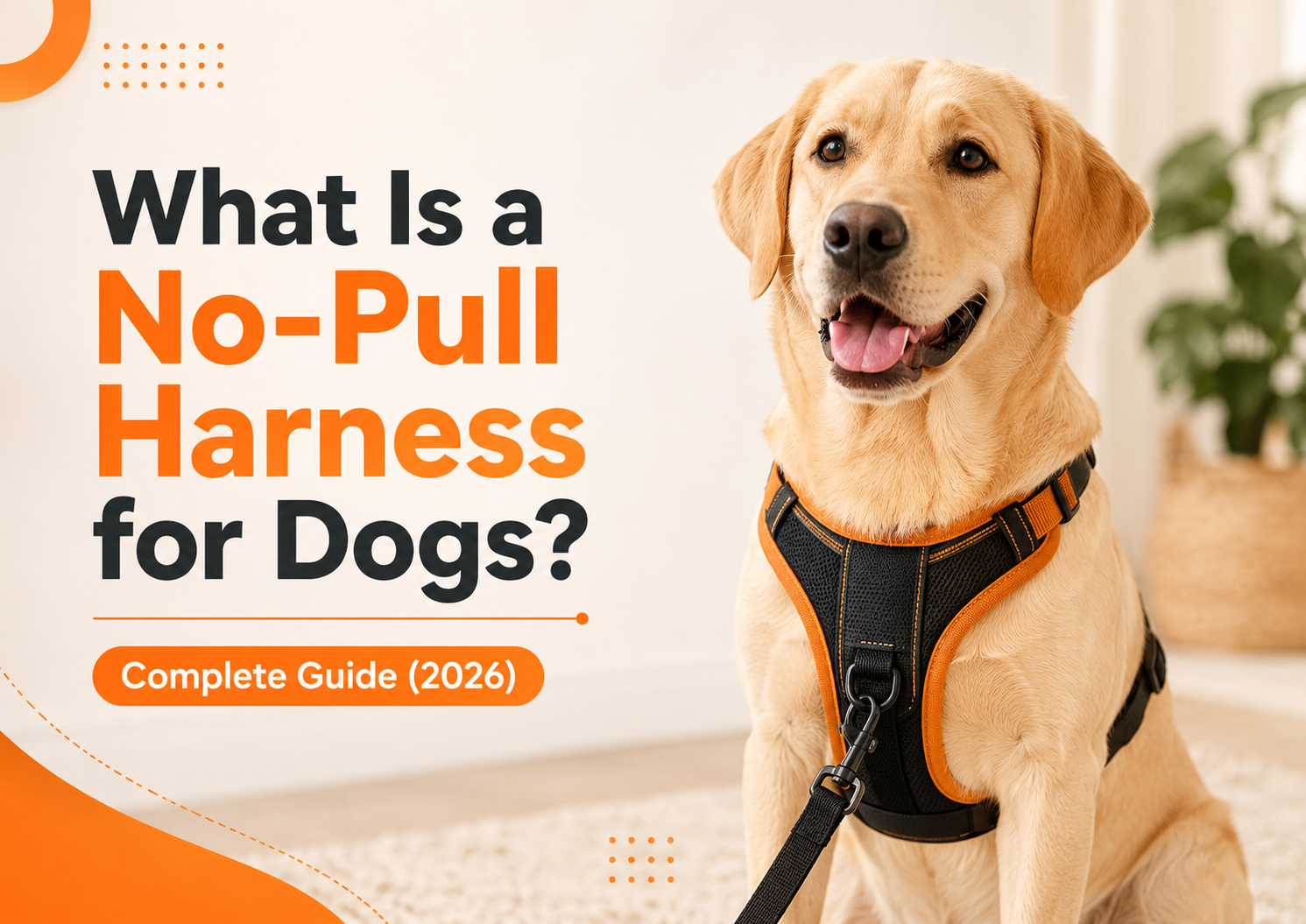 What Is a No-Pull Harness for Dogs? Complete Guide (2026)