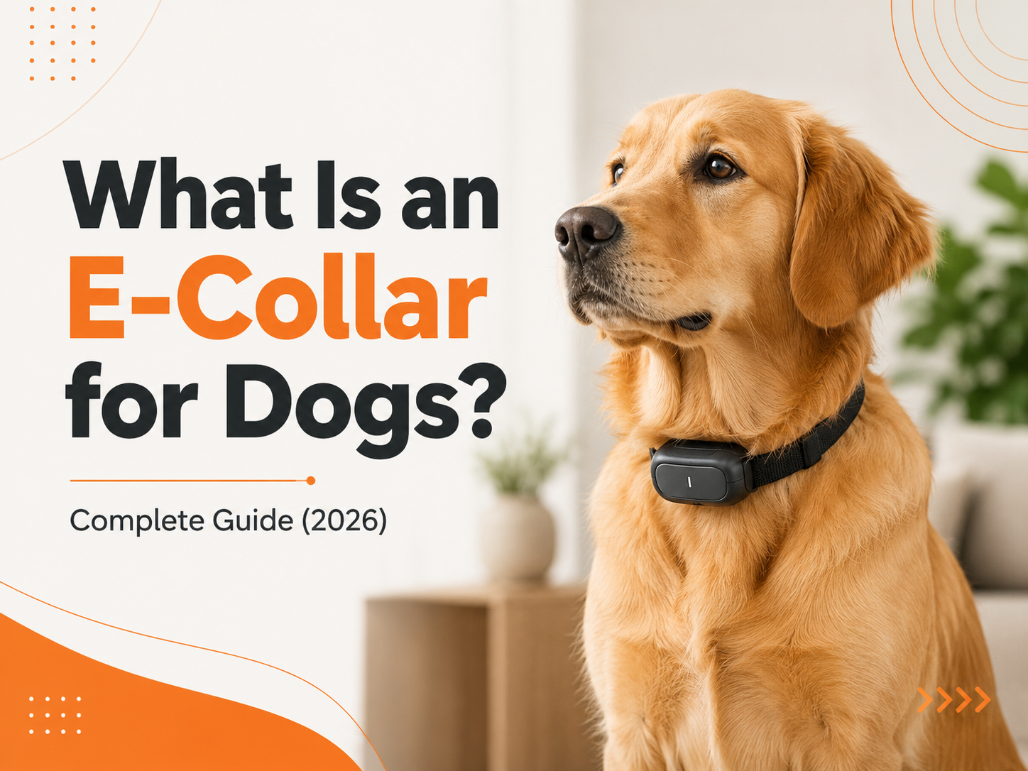 What Is an E-Collar for Dogs? Complete Guide (2026)