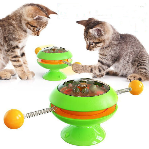 Cat Toys