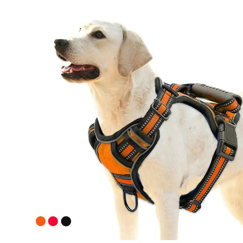 Dog Harnesses - Petcharged