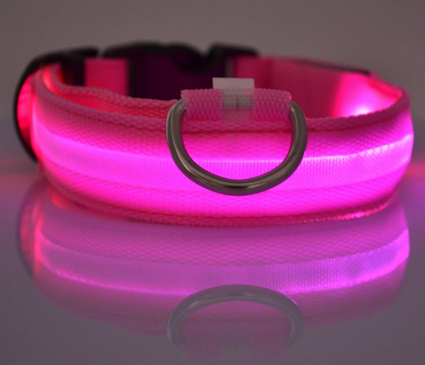 Nylon LED Pet Dog Luminous Collar Night Safety Flashing Glow in Dark Dog Cat Leash Adjustable Pet Supplies