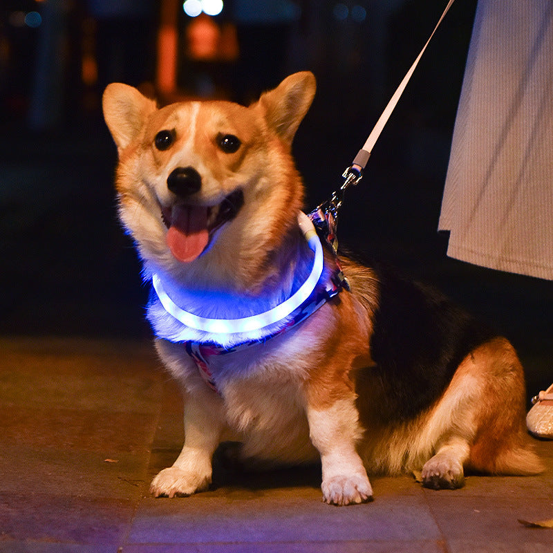 Dog Pet Luminous Led Collar Usb Rechargeable Silicone Collar Luminous Dog Leash Pet Supplies