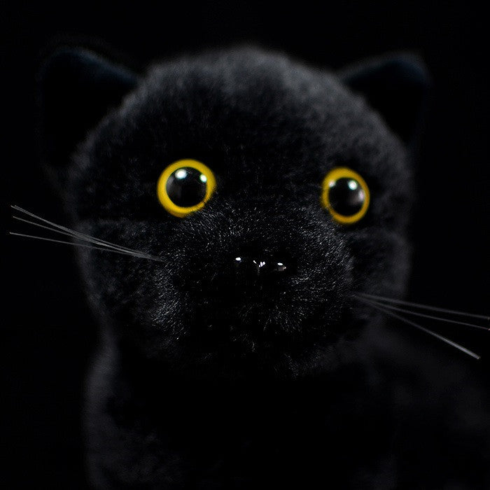 Cute Shorthair Cat Doll Chinese Garden Cat Plush Toy