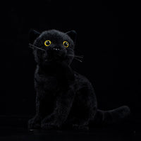 Cute Shorthair Cat Doll Chinese Garden Cat Plush Toy
