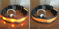 LED Light With Flashing Dog Collar