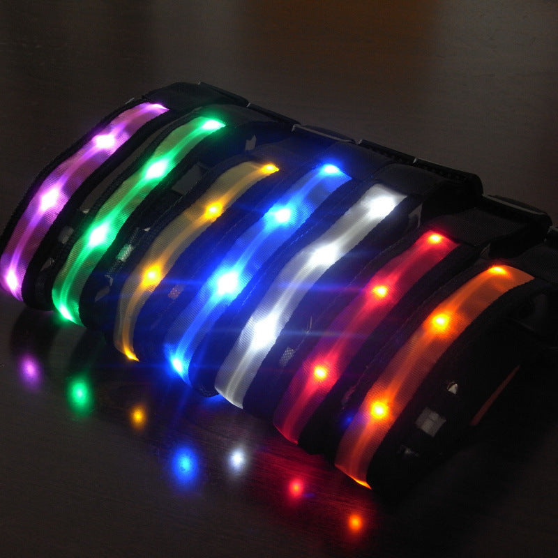 LED Light With Flashing Dog Collar