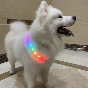 LED Pet Dog Cat Collar Pendant Glowing Night Safety Multiple Colours Collar Safety Flashing Outdoor Loss Prevention Pet Supplies