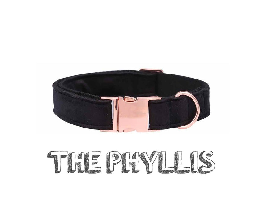 Unique Style Paws Christmas Black Soft Collar And Leash Gifts For Dogs And Cats