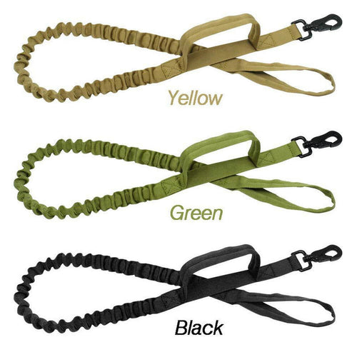 Exclusive Leashes