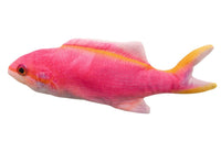 Electric Fish Funny Cat Simulated Fish Beating Fish Usb Toy