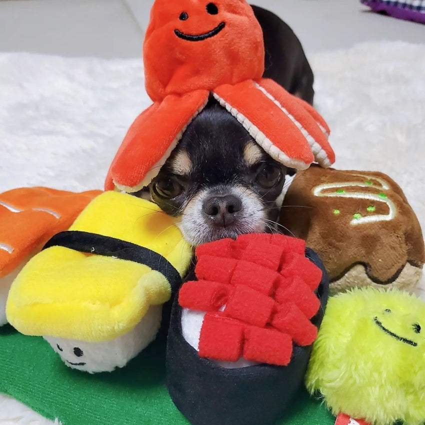 Dog Toy Hide Food Audible Sushi Octopus - My Store #