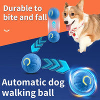 Smart Dog Toy Ball Electronic Interactive Pet Toy Moving Ball USB Automatic Moving Bouncing For Puppy Birthday Gift Cat Product - My Store #