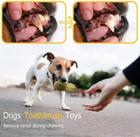 Funny Pet Dog Squeaky Toys For Small Middle Dogs Bite Resistant Puppy Cat Dogs Toys Pets Rubber Peanut Clean Tooth Chew Toy - My Store #