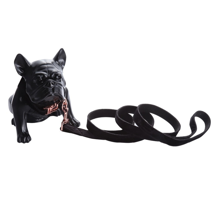 Unique Style Paws Christmas Black Soft Collar And Leash Gifts For Dogs And Cats