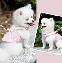 Cute Pet Dog Harness Leash Set