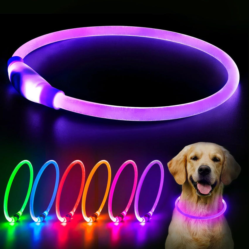 LED Dog Collar USB Rechargeable Glowing Pet Collars Lighted Up Safety Necklace Glow In The Dark For You Your Dogs