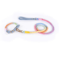 Fashion Personality Woven Leather Pet Dog Leash