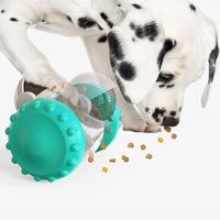 Cat And Dog Toys Slow Food Interactive Balance Car Multifunctional Fun Development Smart Pet Feeding Dog Toy Car Pets Products - My Store #