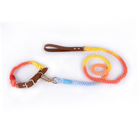 Fashion Personality Woven Leather Pet Dog Leash