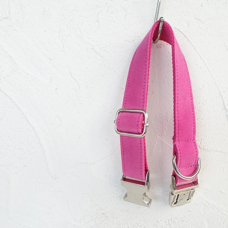 Dog collar leash collar