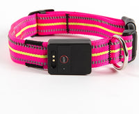 Pet dog glowing collar