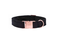 Unique Style Paws Christmas Black Soft Collar And Leash Gifts For Dogs And Cats