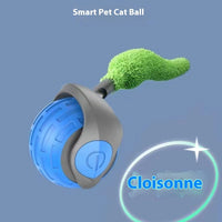 Pet Toy Ball Relieving Stuffy And Funny Cat Bite-resistant