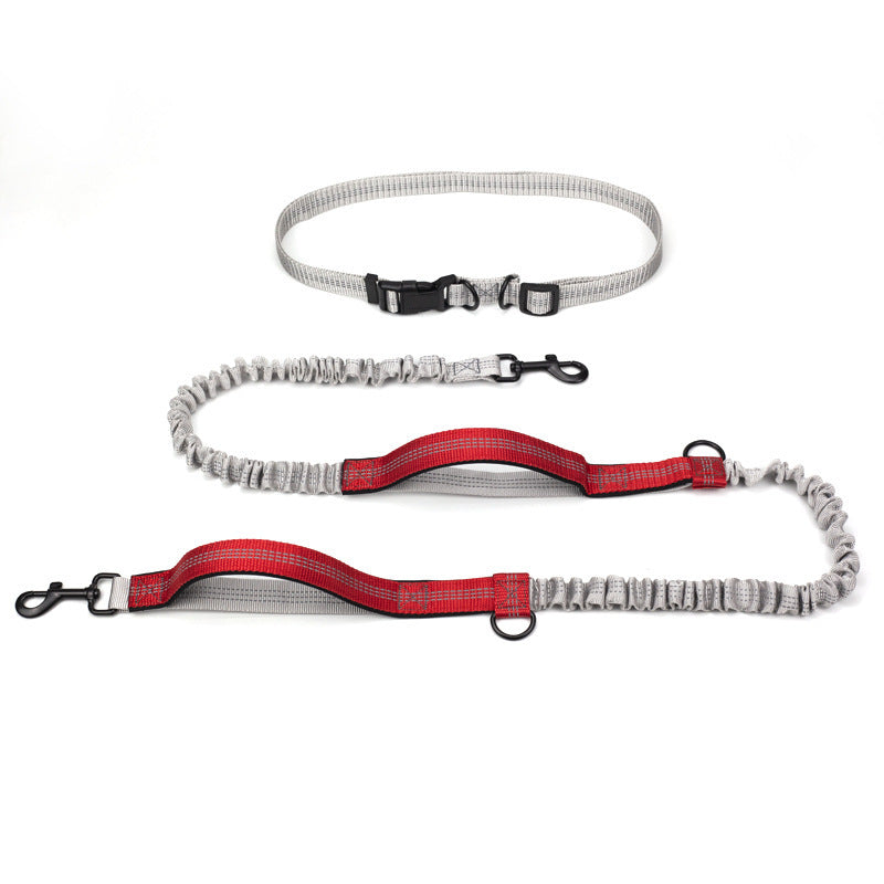 Multifunctional Running Reflective Double Telescopic Dog Leash Dog Chain Lead Rope