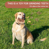 Donut Dog Toy TPR Durable Chewy And Fun Soundmaking Dog Toy Dog Chew Toys For Aggressive Chewers Teeth Grinding Dog Birthday Gifts Interactive Toys For Small Medium Large Dog Breeds - My Store #