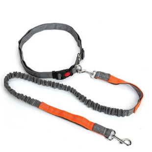 Traction rope dog leash