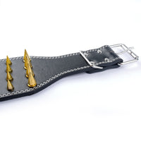 PU Leather Big Dog Collar