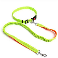 Traction rope dog leash