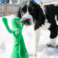 Multipet Gumby Plush Filled Dog Toy Green - My Store #