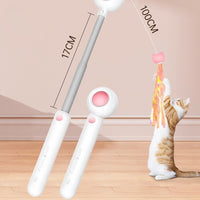 Retractable Chewable Cat Toy