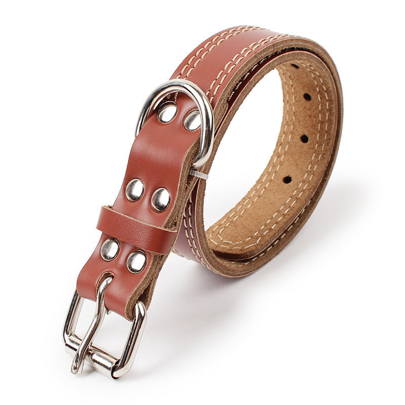 Dog leather traction collar