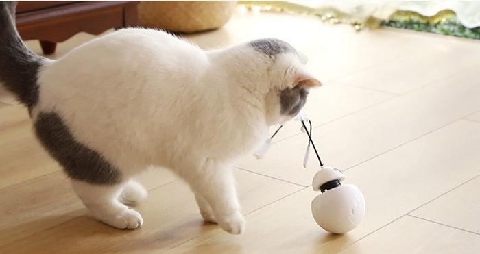 Cat toy funny cat toy three in one robot tumbler laser cat toy - My Store #