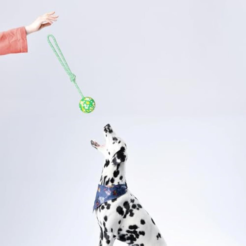 Dog Ball On Rope Dog Toy For Medium Small Dog Interactive Natural Solid Rubber Dog Rope Ball Dog Fetch Pull Tug Throw Toy Ball Toys - My Store #