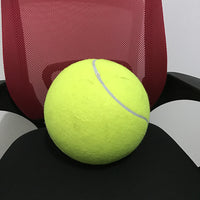 Dog Giant Tennis Ball - My Store #