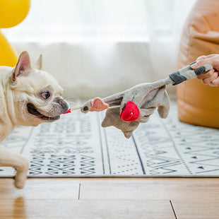 Dog Plush Self Relieving Teddy Bear Toy Grinding Teeth Interactive Solitude Hiding Food Toy Small Dogs Supplies Accessories - My Store #