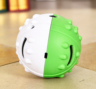 Dog leaking toy