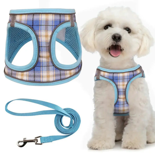 Dog Harness for Small Dogs - Breathable Mesh Adjustable Buckle XS Puppy Harness and Leash Set