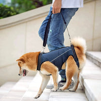 dog harnesses for small dogs - Dog Lift Harness Full Body Support & Recovery Sling Dog Lifter Vest Harness for Old Joint Injuries Arthritis Disabled Dogs Walk (Small Navy) - Petcharged