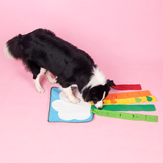 Pet Rainbow Enrichment Mat Dog Play Snuffle Mat For Boredom & Stress Relief, Treat Puzzle Games Interactive Nosework Pet Toy -Encourages Natural Foraging Skills - My Store #