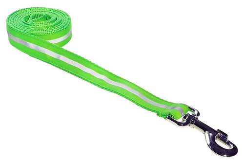 Reflective Dog Leash – 4ft Green Leash for Small Dogs