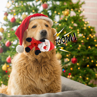 Santa Claus Plush Dog Toy Puzzle Vocal Leak Food Clean Teeth Christmas Pet Supplies - My Store #