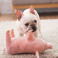 Sleeping Pig With Dog Toy - My Store #