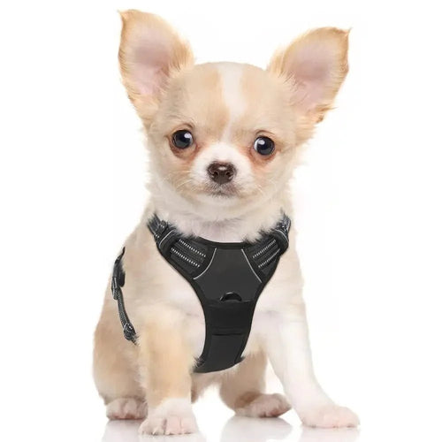 Small Dog Harness- No-Strap with 2 Leash Clips Adjustable Soft Padded Reflective Dog Vest