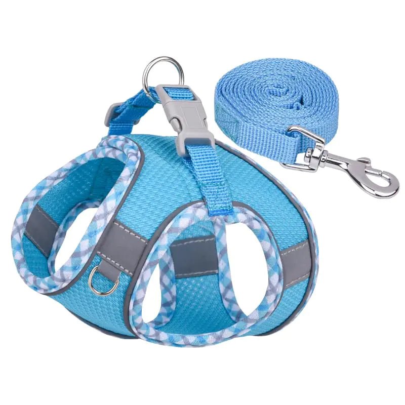 XXS Dog Harness – Harness and Leash for Tiny Dogs & Puppies